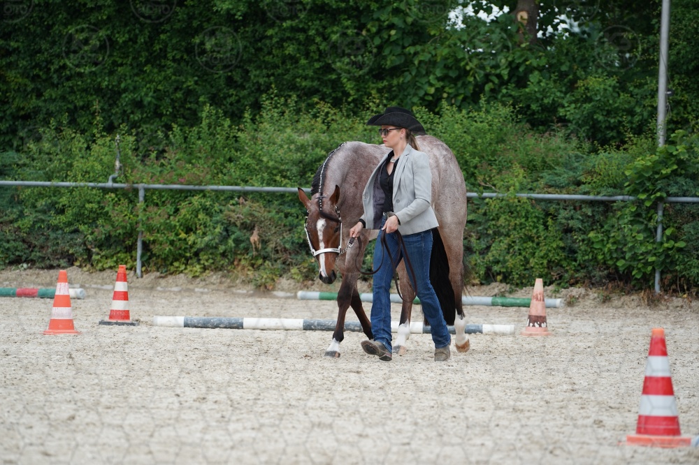 s_A9_06623.jpg